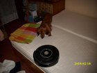 img_1949.jpg