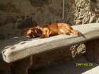 img_1331.jpg