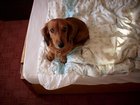 img_0044.jpg