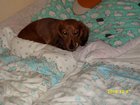 img_0070.jpg