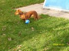 img_0118.jpg