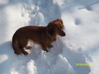 img_1727.jpg
