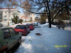 img_1731.jpg