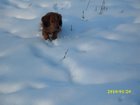 img_1749.jpg
