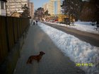 img_1771.jpg