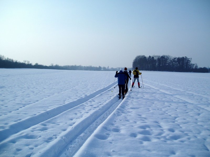 08.jpg