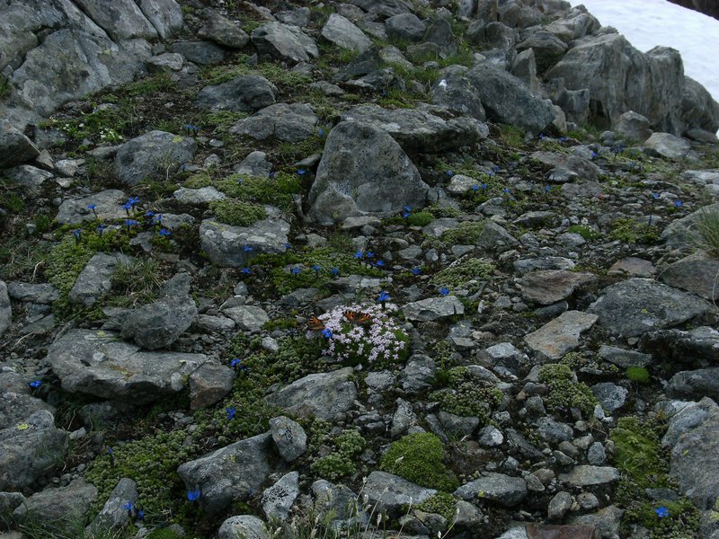 dscf8580.jpg
