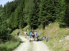 dscf8517.jpg