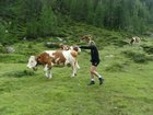 dscf8541.jpg