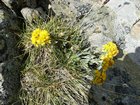 dscf8577.jpg