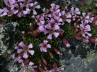 dscf8578.jpg