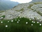 dscf8584.jpg