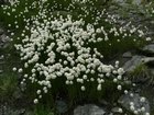 dscf8603.jpg