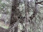 dscf8639.jpg