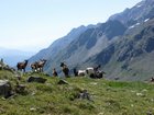 rakousko_2013_1_128.jpg