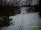 img_2838.jpg
