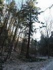 pochod_07_049.jpg