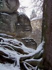 100_6476.jpg